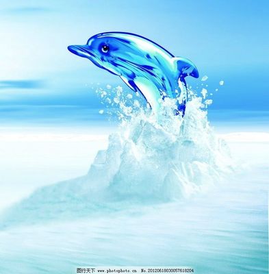 海豚图片,水 冰块 冰面 促销 广告设计模板 源文件-